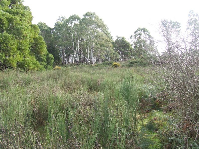Lot 5 Esk Main Road, St Marys TAS 7215