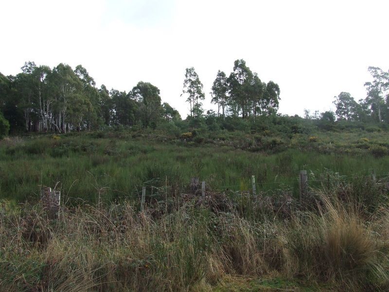 Lot 5 Esk Main Road, St Marys TAS 7215