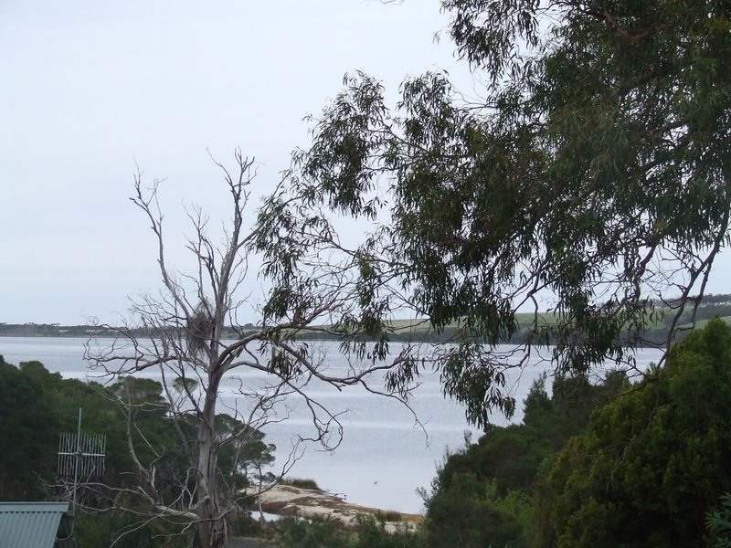 55 Acacia Drive, Ansons Bay TAS 7216