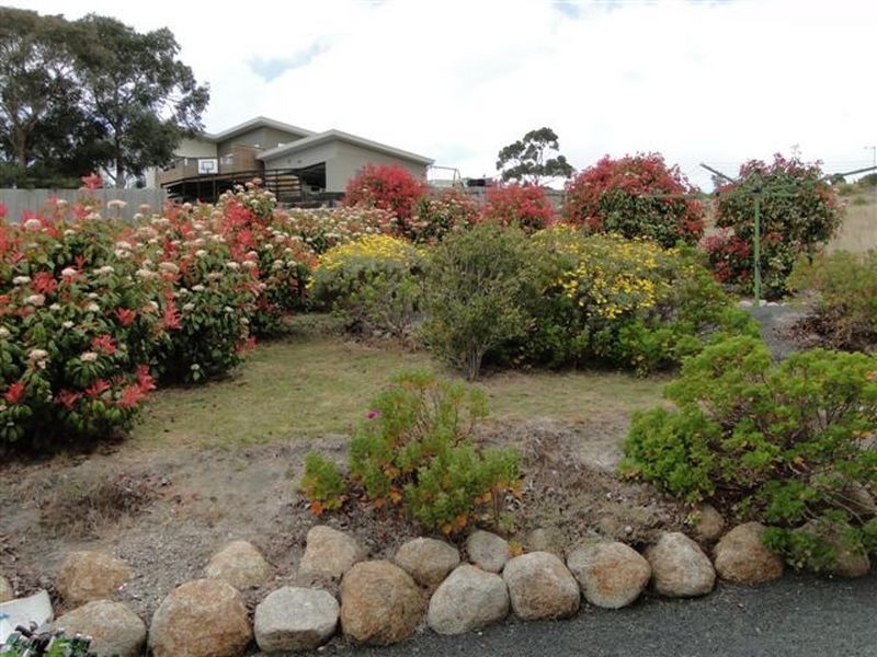 17 Erythos Grove, St Helens TAS 7216