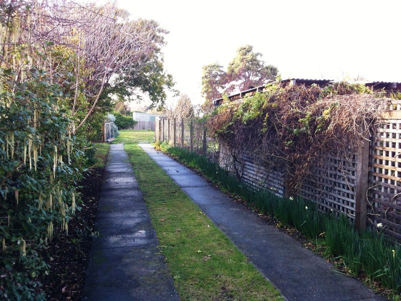 12 Medea Street, St Helens TAS 7216