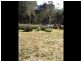 51 Cleland Drive, St Helens TAS 7216