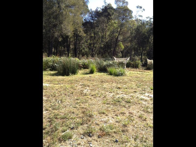 51 Cleland Drive, St Helens TAS 7216