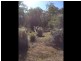 51 Cleland Drive, St Helens TAS 7216