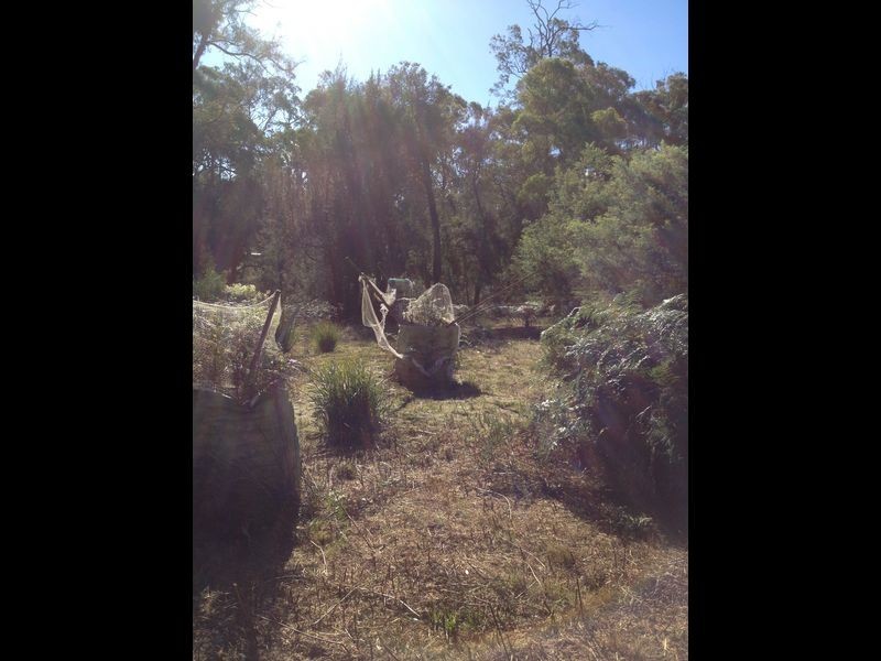 51 Cleland Drive, St Helens TAS 7216