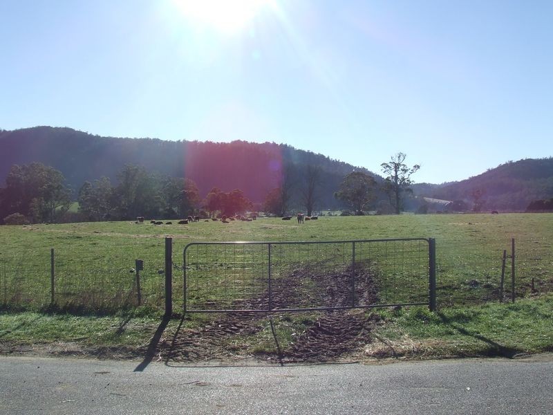250 St Columba Falls Road, Pyengana TAS 7216
