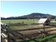 250 St Columba Falls Road, Pyengana TAS 7216