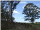 Lot 2 Canhams Road, St Helens TAS 7216