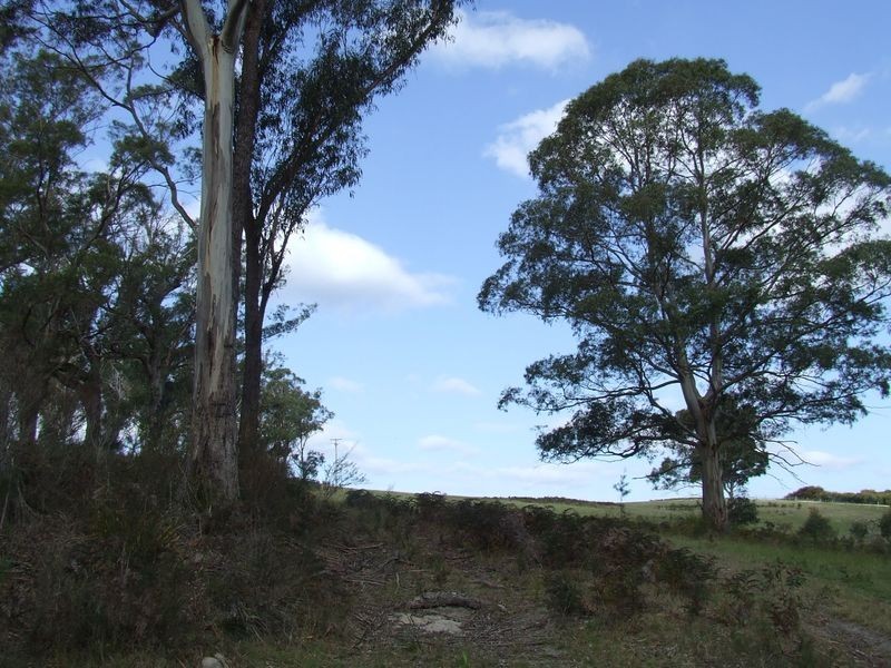 Lot 2 Canhams Road, St Helens TAS 7216