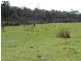 Lot 2 Canhams Road, St Helens TAS 7216