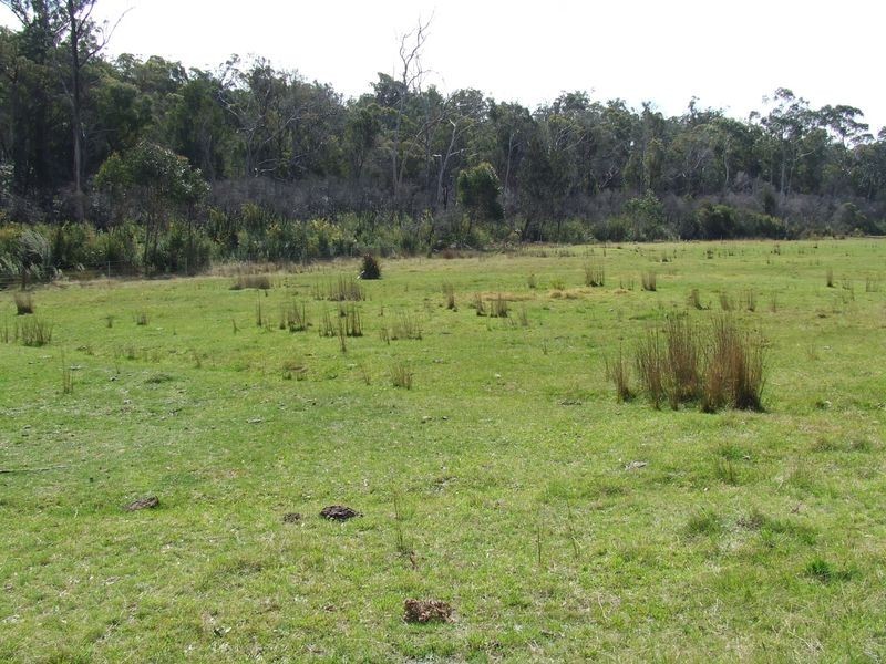 Lot 2 Canhams Road, St Helens TAS 7216