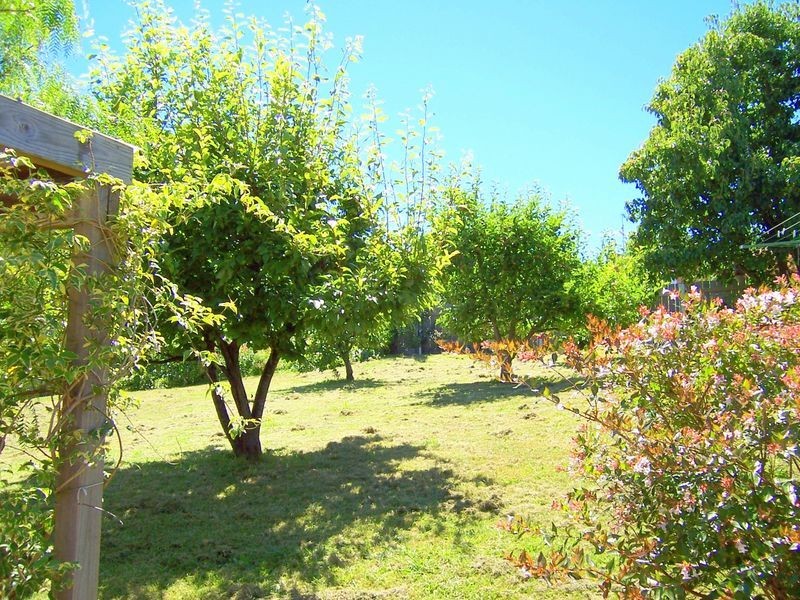 7 Penelope Street, St Helens TAS 7216