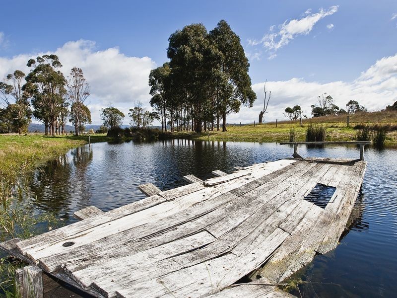 170 Binalong Bay Road, St Helens TAS 7216