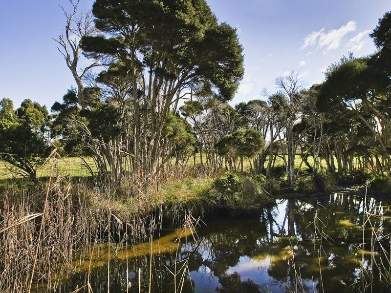 170 Binalong Bay Road, St Helens TAS 7216