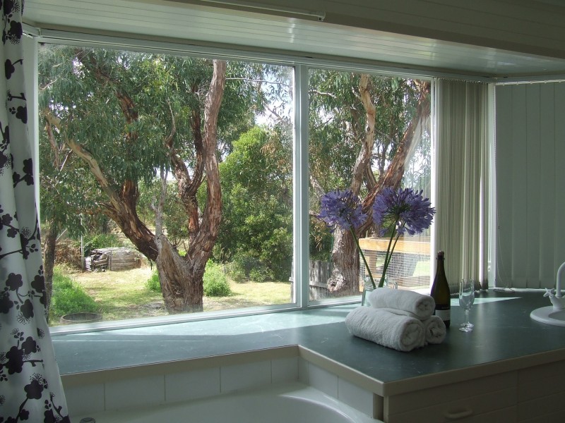 9 Dune Street, Scamander TAS 7215