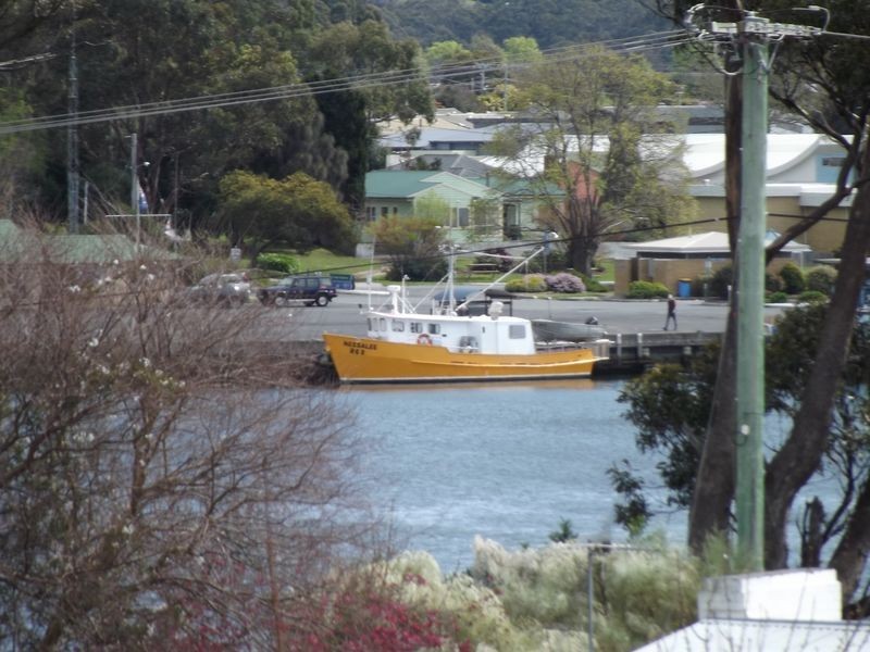 5 Doric Grove, St Helens TAS 7216