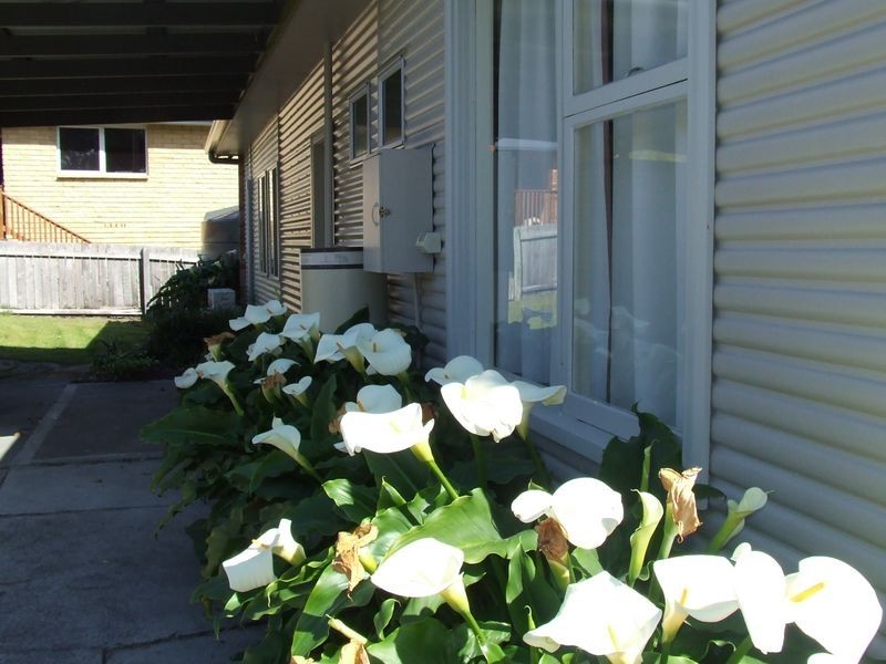 2 Highcrest Avenue, Binalong Bay TAS 7216