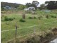 Lot 8 Lennox Street, Cornwall TAS 7215