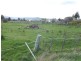 Butler Street, Mathinna TAS 7214