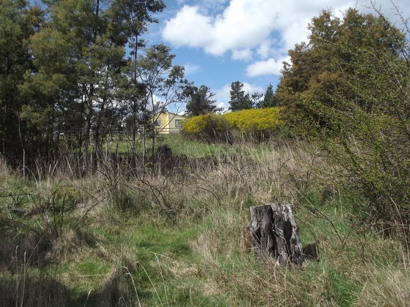 High Street, Mathinna TAS 7214