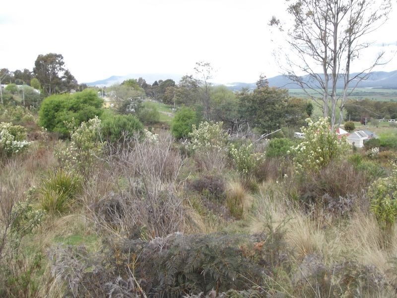 High Street, Mathinna TAS 7214