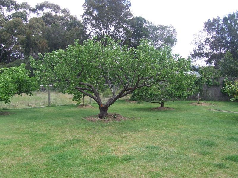 15 Aerodrome Road, Stieglitz TAS 7216