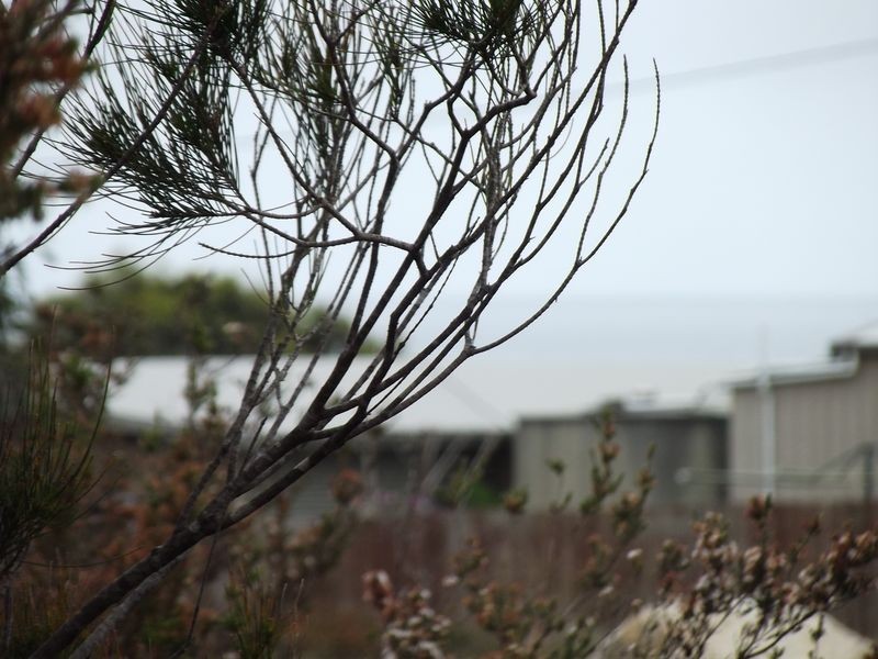 Ocean Drive, Beaumaris TAS 7215
