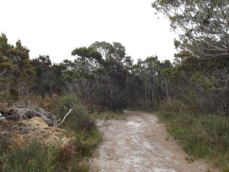 Ocean Drive, Beaumaris TAS 7215