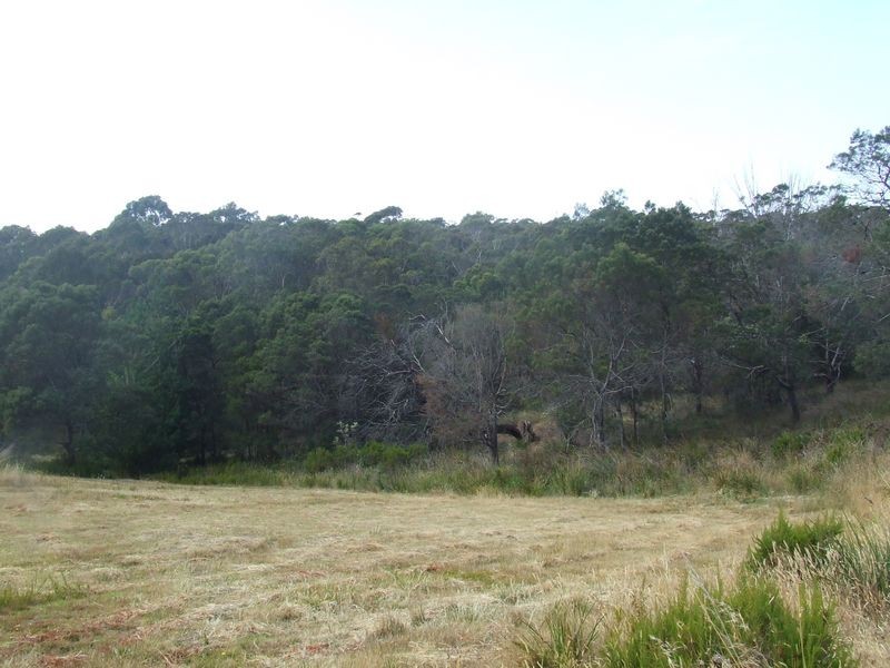 1-11 Ocean Vista Drive, St Helens TAS 7216