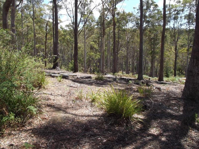 1B Cameron Street, St Marys TAS 7215