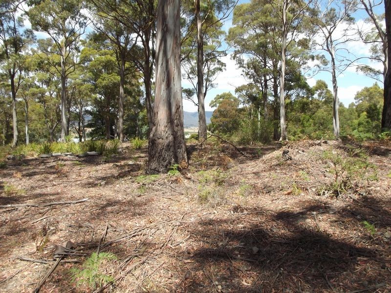 1B Cameron Street, St Marys TAS 7215