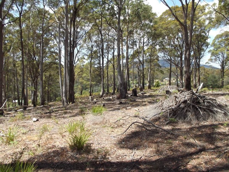 1B Cameron Street, St Marys TAS 7215