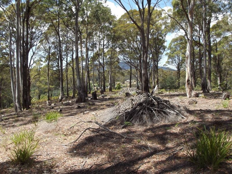 1B Cameron Street, St Marys TAS 7215