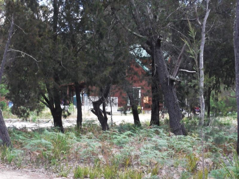 51 Cleland Drive, St Helens TAS 7216