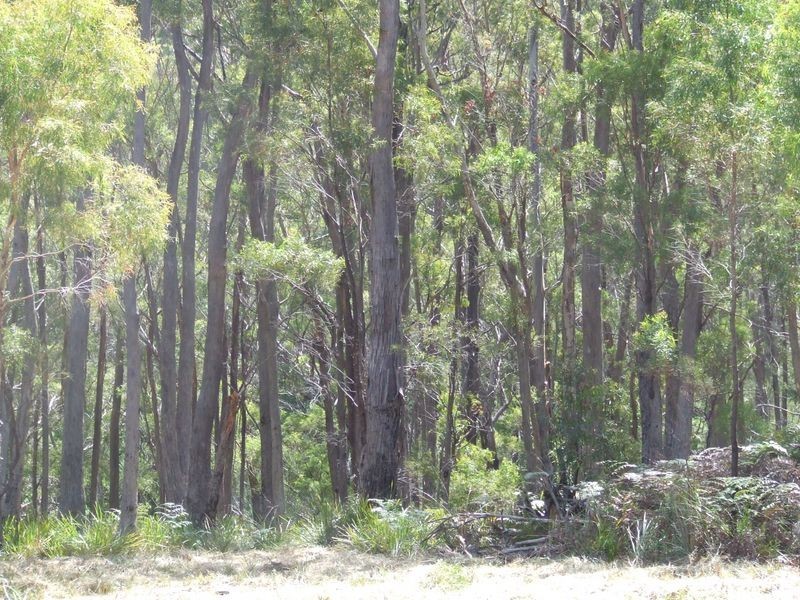 701a Binalong Bay Road, Binalong Bay TAS 7216