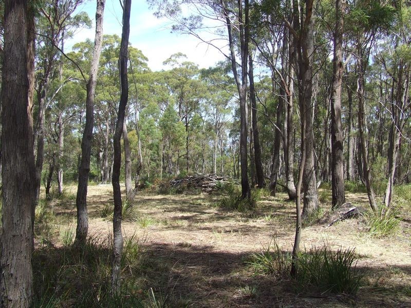 701a Binalong Bay Road, Binalong Bay TAS 7216