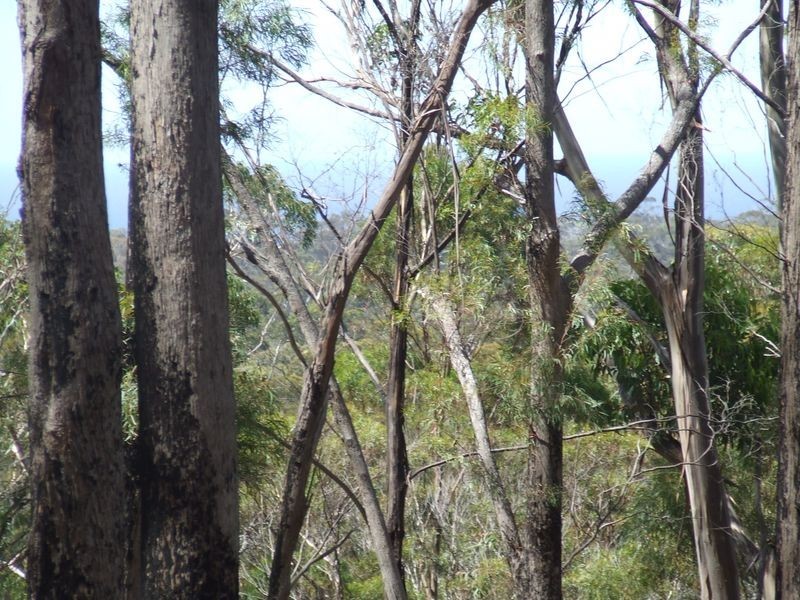 701a Binalong Bay Road, Binalong Bay TAS 7216