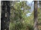 701a Binalong Bay Road, Binalong Bay TAS 7216