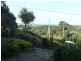 24285 Tasman Highway, St Helens TAS 7216