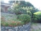 24285 Tasman Highway, St Helens TAS 7216