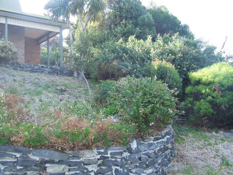 24285 Tasman Highway, St Helens TAS 7216
