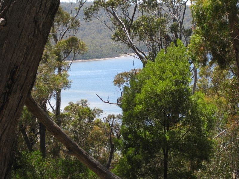 441 Binalong Bay Road, St Helens TAS 7216