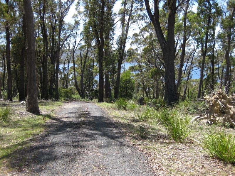 441 Binalong Bay Road, St Helens TAS 7216