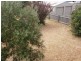 17 Beaumaris Avenue, Beaumaris TAS 7215
