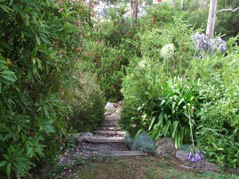 29 Lawry Heights, St Helens TAS 7216