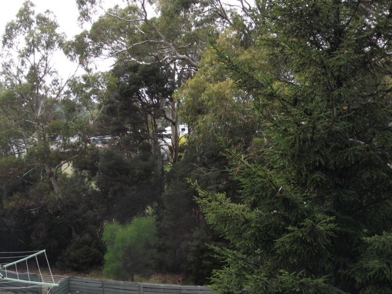 29 Lawry Heights, St Helens TAS 7216