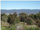 Lot 1 Lennox Street, Cornwall TAS 7215