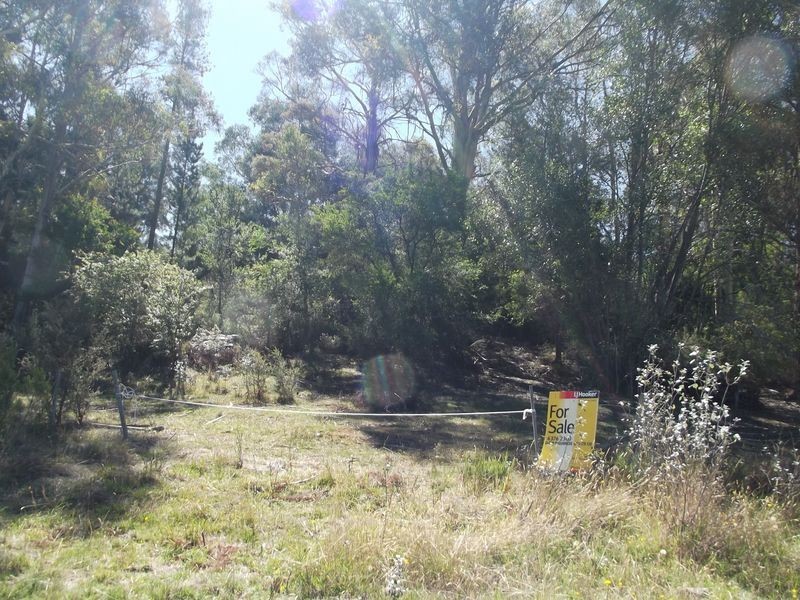 Lot 1 Lennox Street, Cornwall TAS 7215