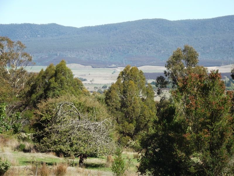 Lot 1 Lennox Street, Cornwall TAS 7215