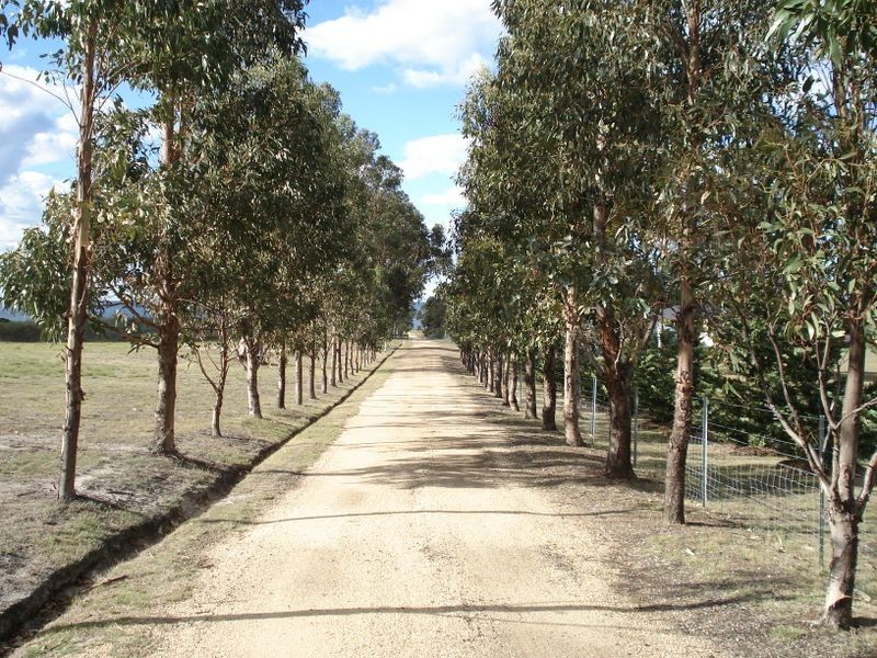21506 Tasman Highway, Four Mile Creek TAS 7215
